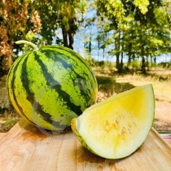 Pastèque Premier rayon de lune