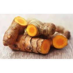 Curcuma